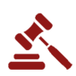 Litigation-and-Turkey-icon