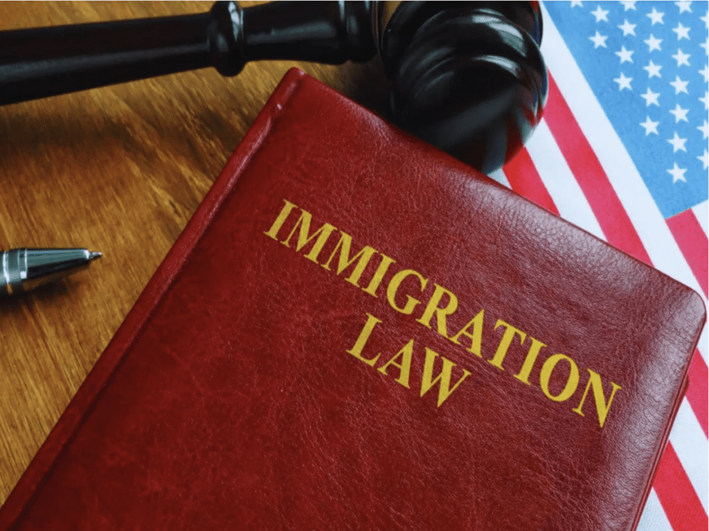 Immigration Law in Turkey
